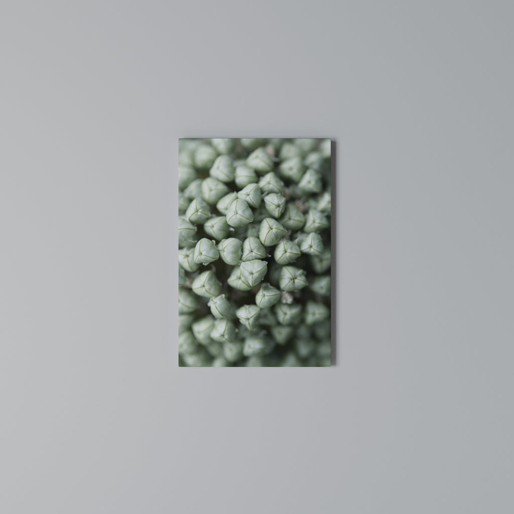 TEXTURED GREEN TIDBITS Cuadro en lienzo vertical