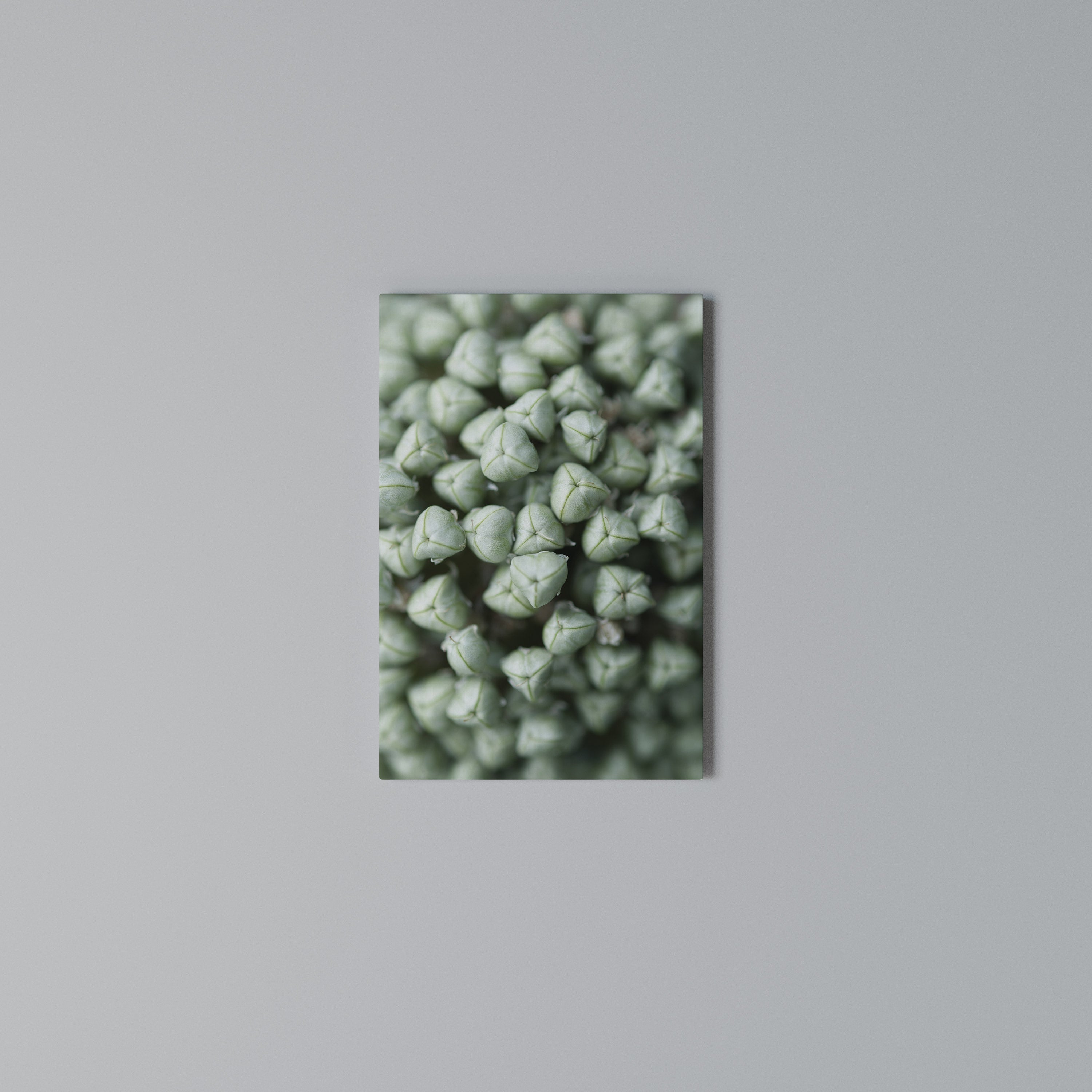 TEXTURED GREEN TIDBITS Cuadro en lienzo vertical