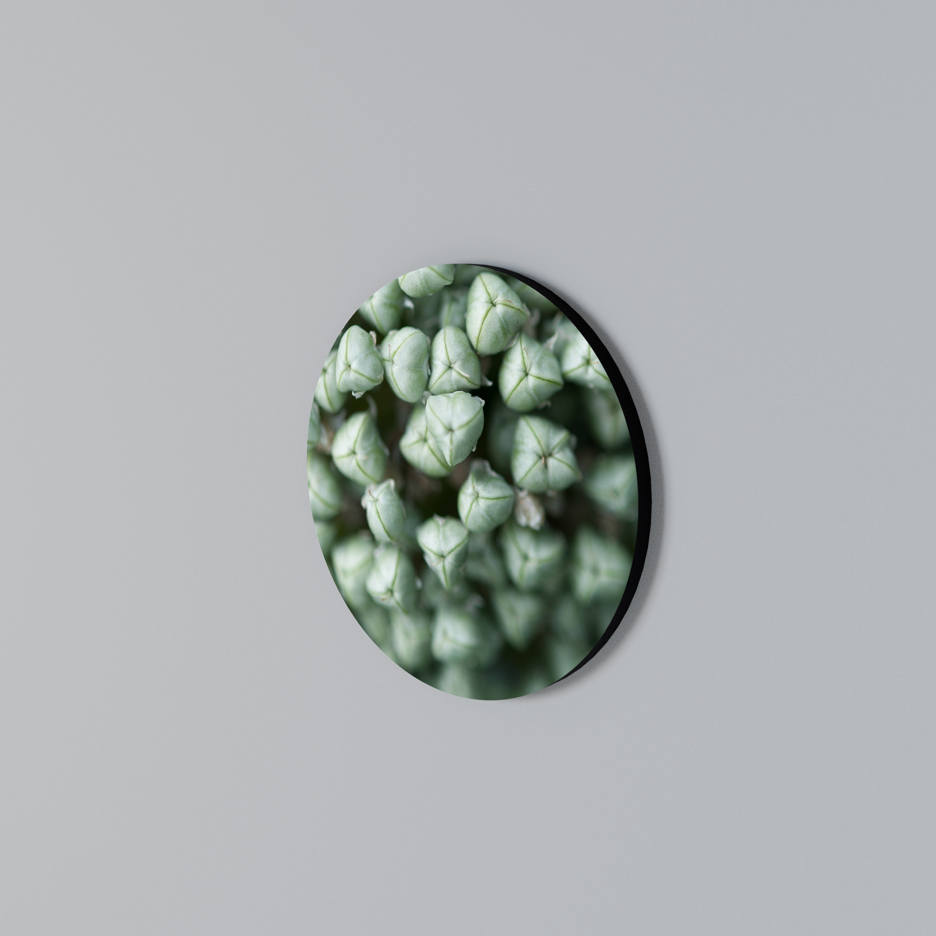 TEXTURED GREEN TIDBITS Round Wall Art