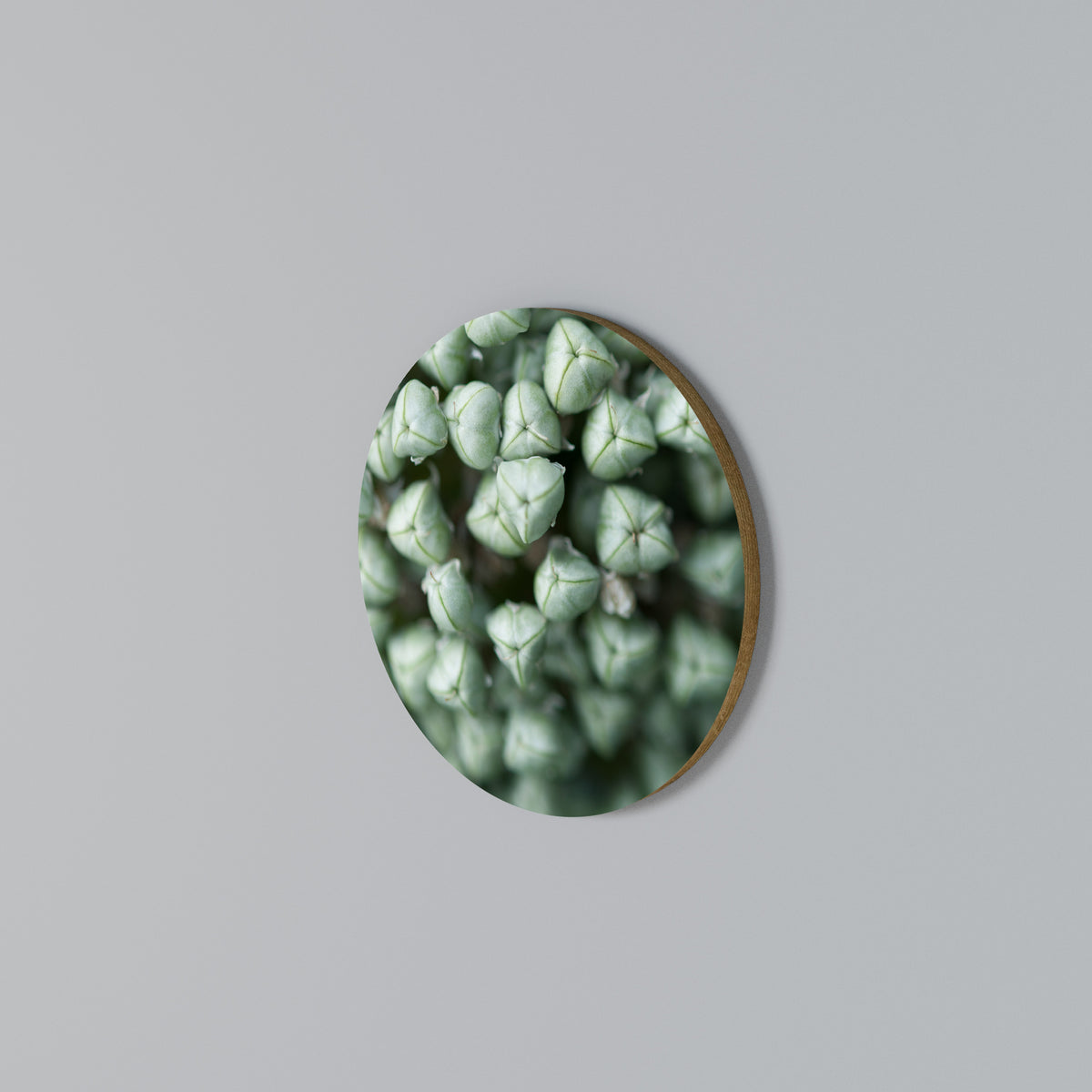 TEXTURED GREEN TIDBITS Arte de pared redondo
