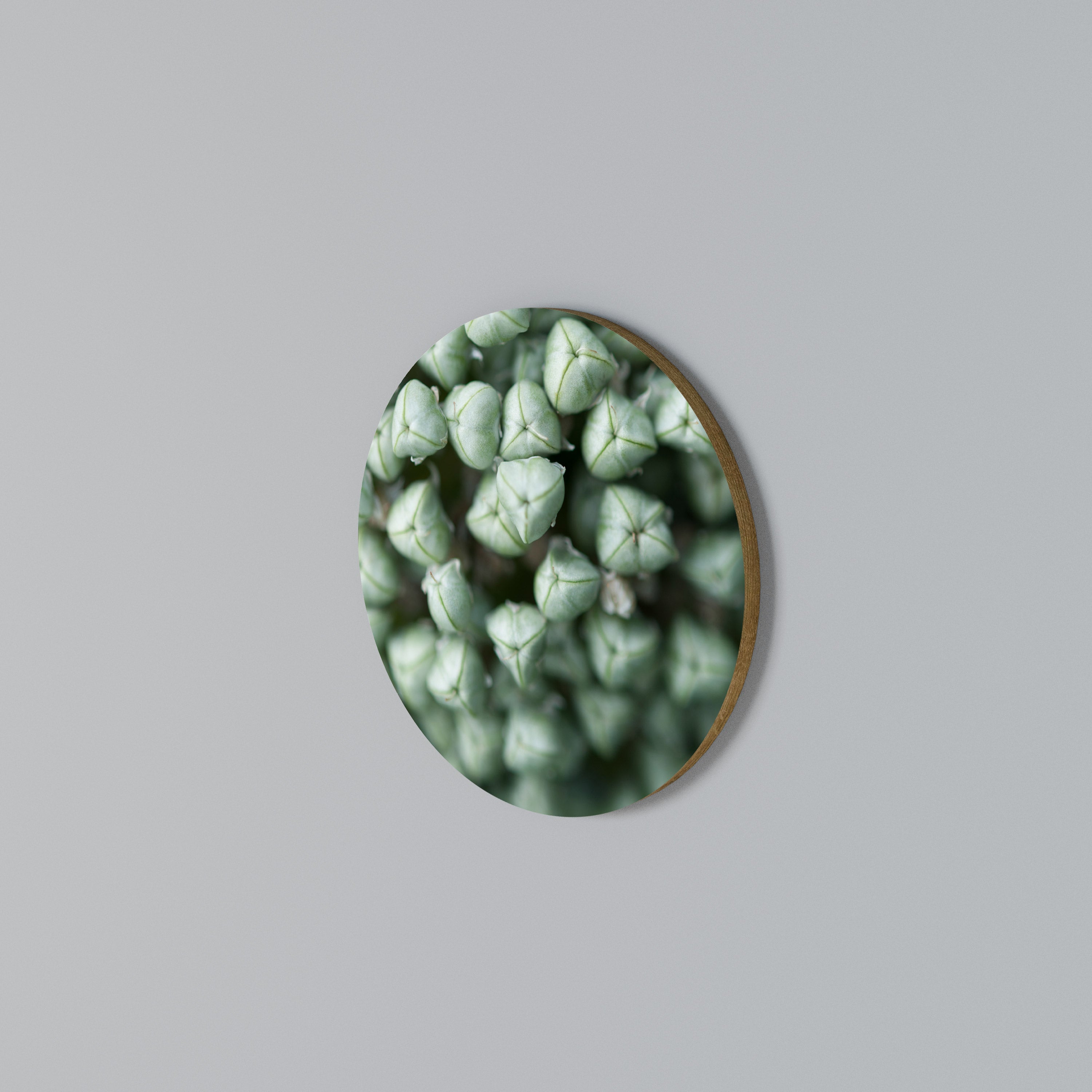 TEXTURED GREEN TIDBITS Round Wall Art