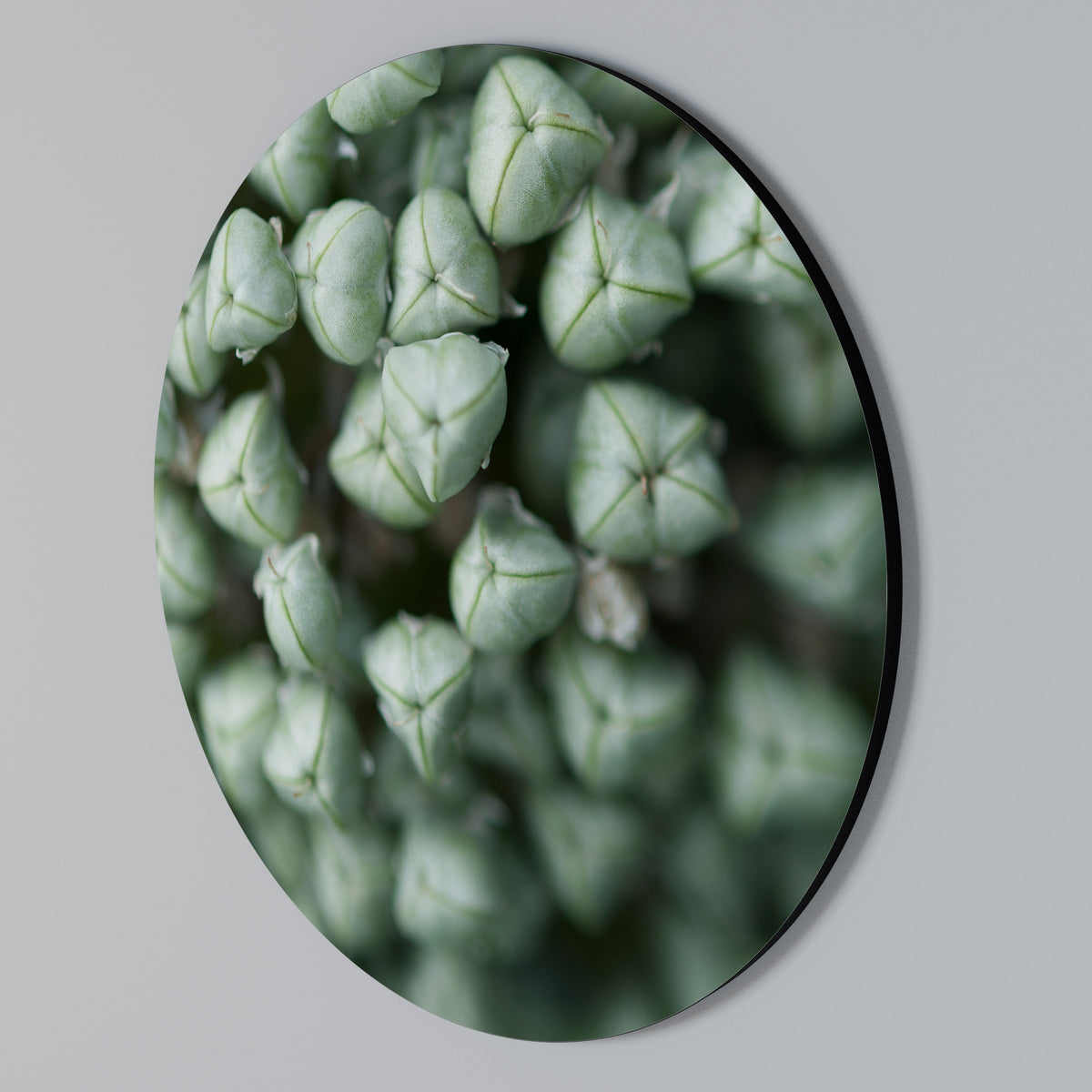 TEXTURED GREEN TIDBITS Arte de pared redondo