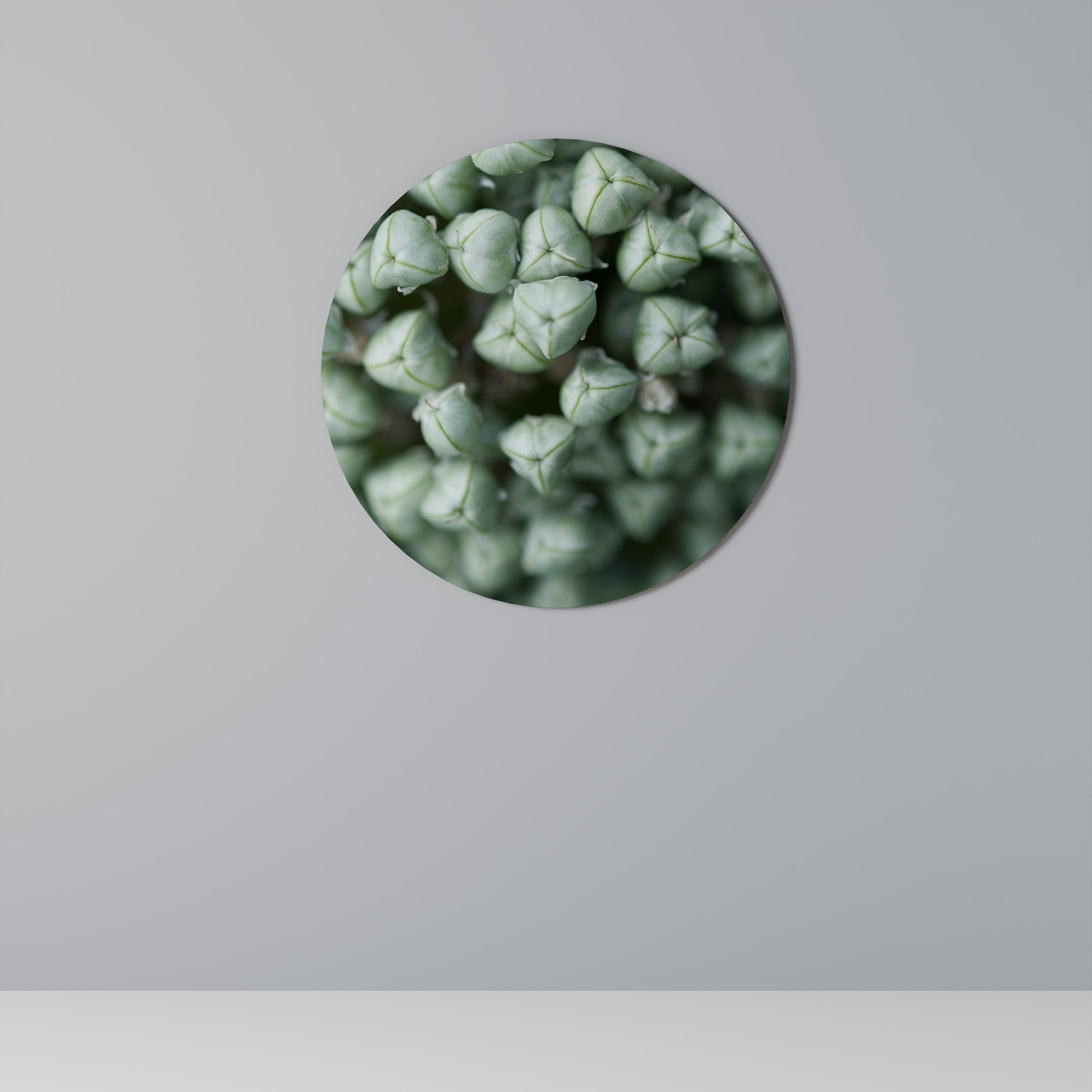 TEXTURED GREEN TIDBITS Round Wall Art