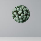 TEXTURED GREEN TIDBITS Decoración de Pared Redonda