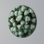 TEXTURED GREEN TIDBITS Decoración de Pared Redonda