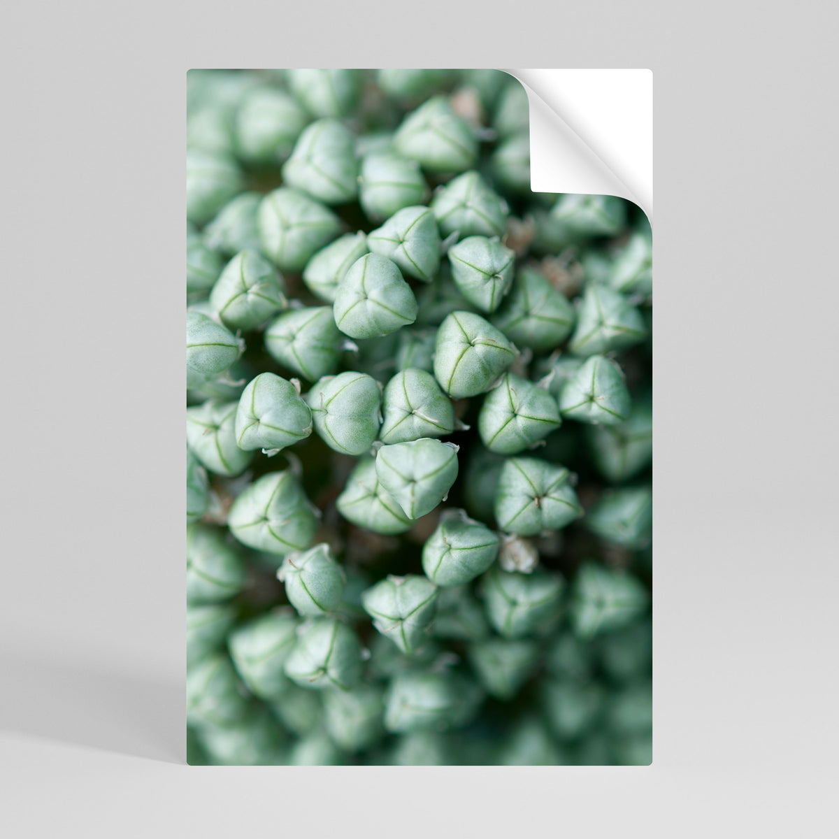 TEXTURED GREEN TIDBITS Peel and Stick Vertical Poster