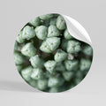 TEXTURED GREEN TIDBITS Vinilo adhesivo redondo