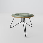 MYSTICAL SUCCULENT DREAM Coffee Table 60