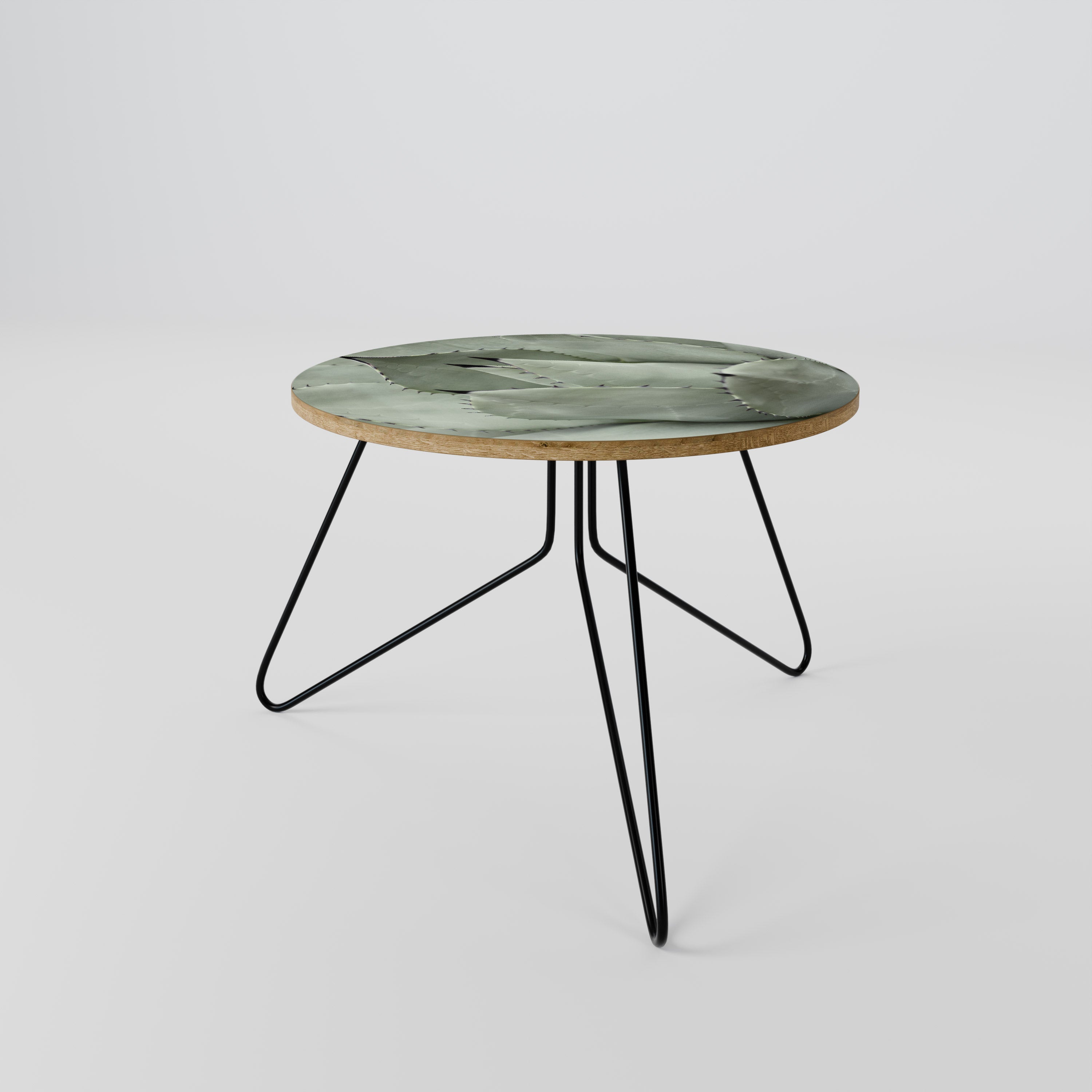 MYSTICAL SUCCULENT DREAM Coffee Table 60