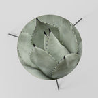 MYSTICAL SUCCULENT DREAM Coffee Table 60