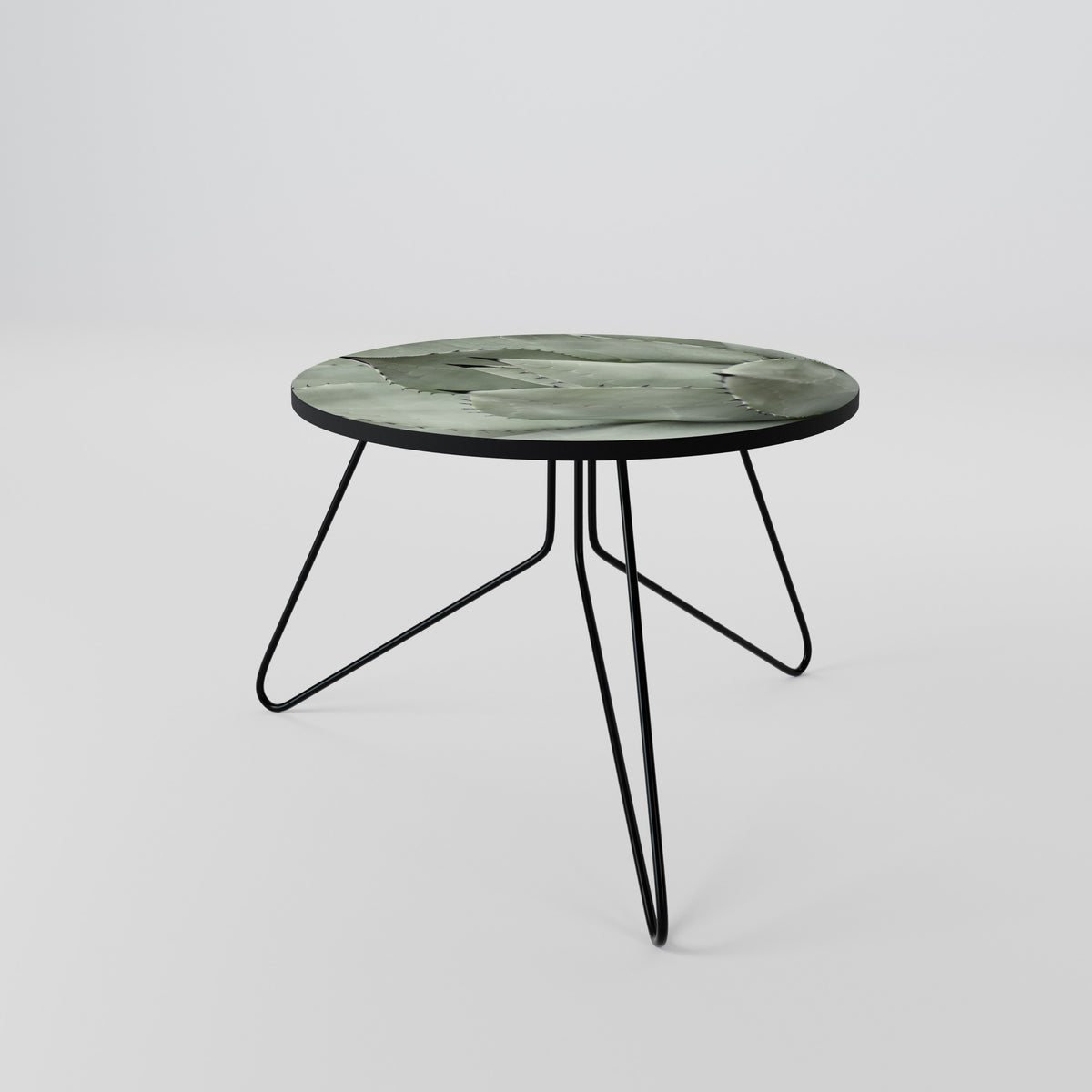MYSTICAL SUCCULENT DREAM Coffee Table