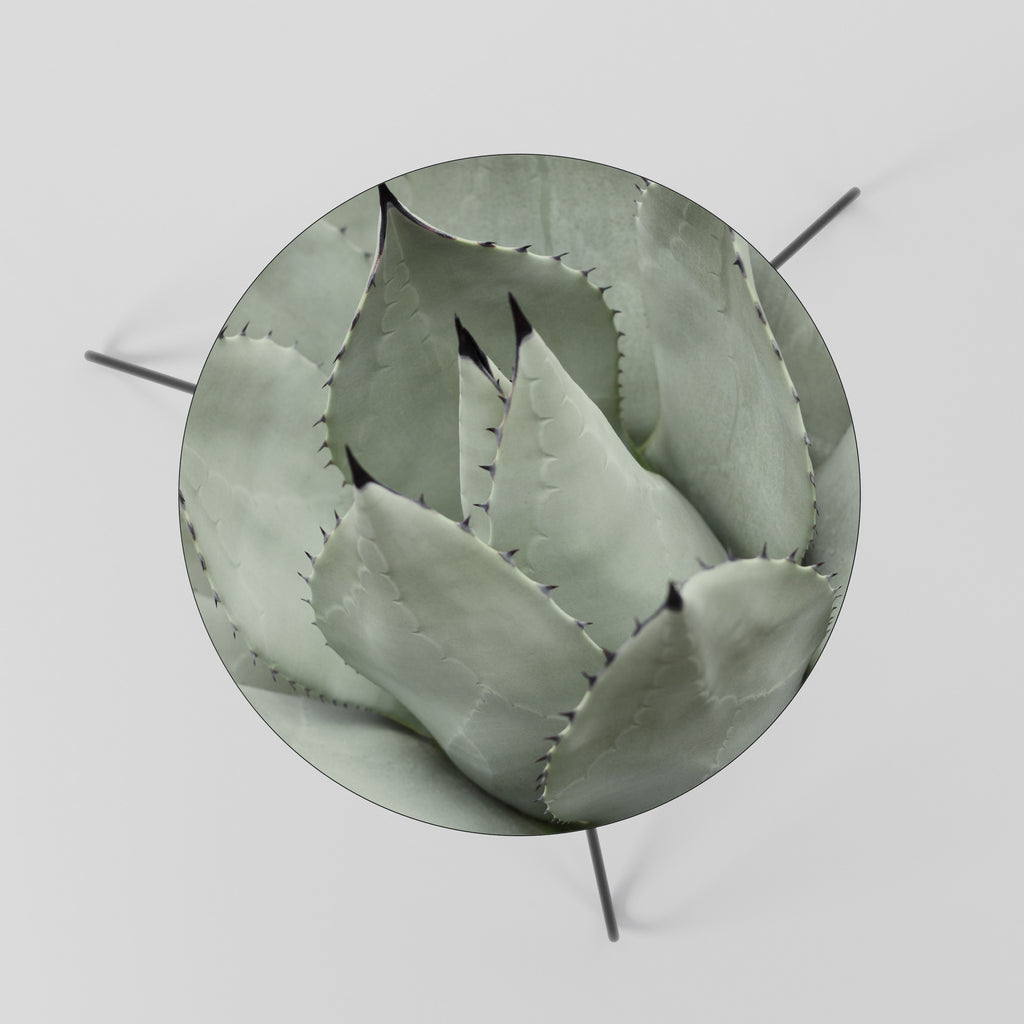 MYSTICAL SUCCULENT DREAM Coffee Table 60