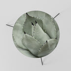 MYSTICAL SUCCULENT DREAM Coffee Table 60