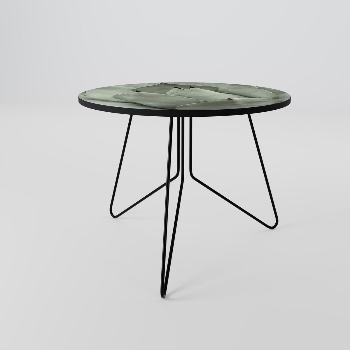 MYSTICAL SUCCULENT DREAM Coffee Table