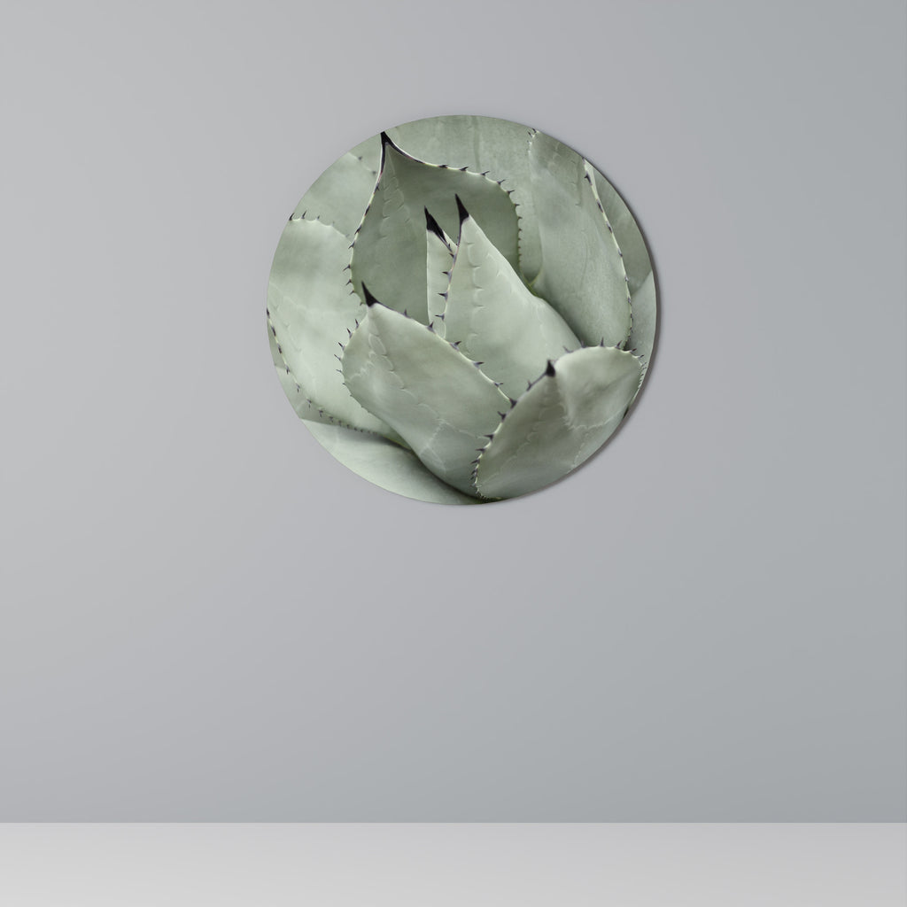 MYSTICAL SUCCULENT DREAM Round Wall Art
