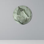 MYSTICAL SUCCULENT DREAM Decoración de Pared Redonda