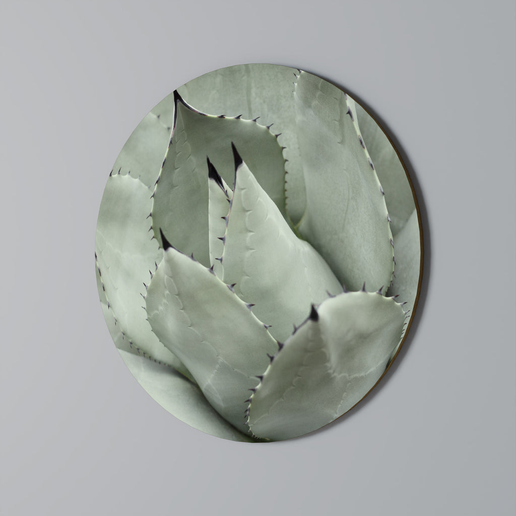MYSTICAL SUCCULENT DREAM Round Wall Art