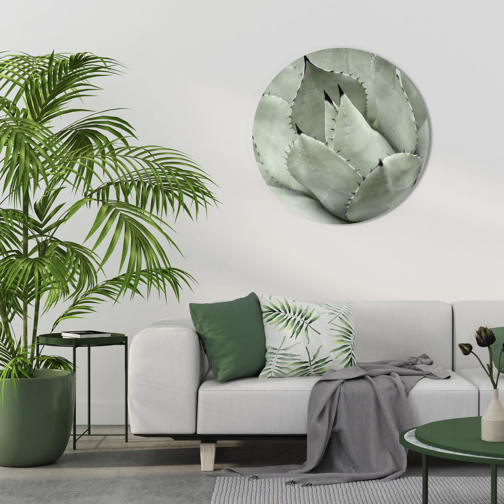 MYSTICAL SUCCULENT DREAM Round Wall Art
