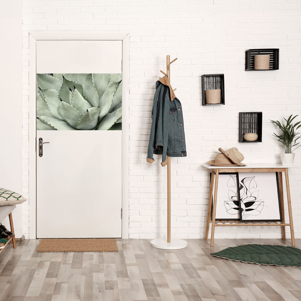 Póster horizontal autoadhesivo "SUEÑO MÍSTICO SUCULENTO"