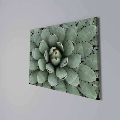 SUCCULENT SYMMETRY Cuadro en lienzo horizontal