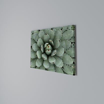 SUCCULENT SYMMETRY Cuadro en lienzo horizontal