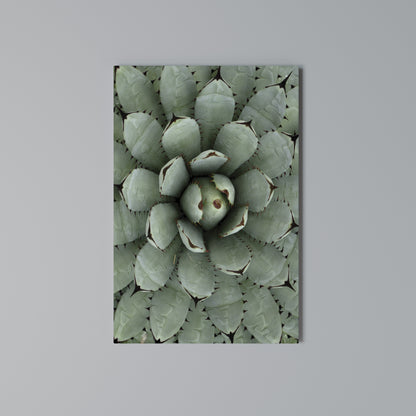 SUCCULENT SYMMETRY Vertical Canvas Print