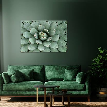 SUCCULENT SYMMETRY Cuadro en lienzo horizontal