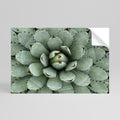 SUCCULENT SYMMETRY Peel and Stick Horizontal Poster