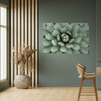 SUCCULENT SYMMETRY Peel and Stick Horizontal Poster