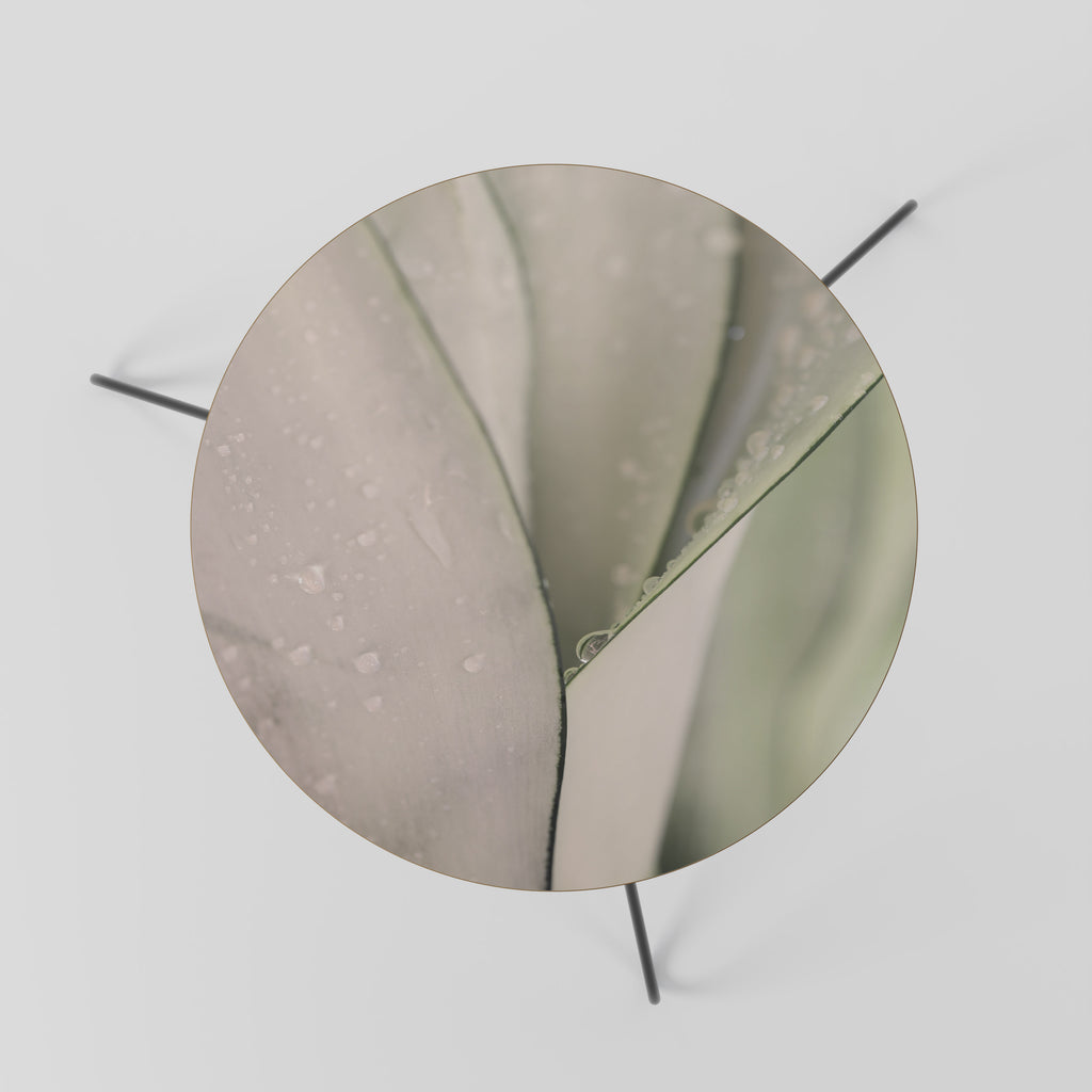 NATURE'S TAPESTRY Coffee Table 60