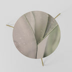 NATURE'S TAPESTRY Coffee Table 60