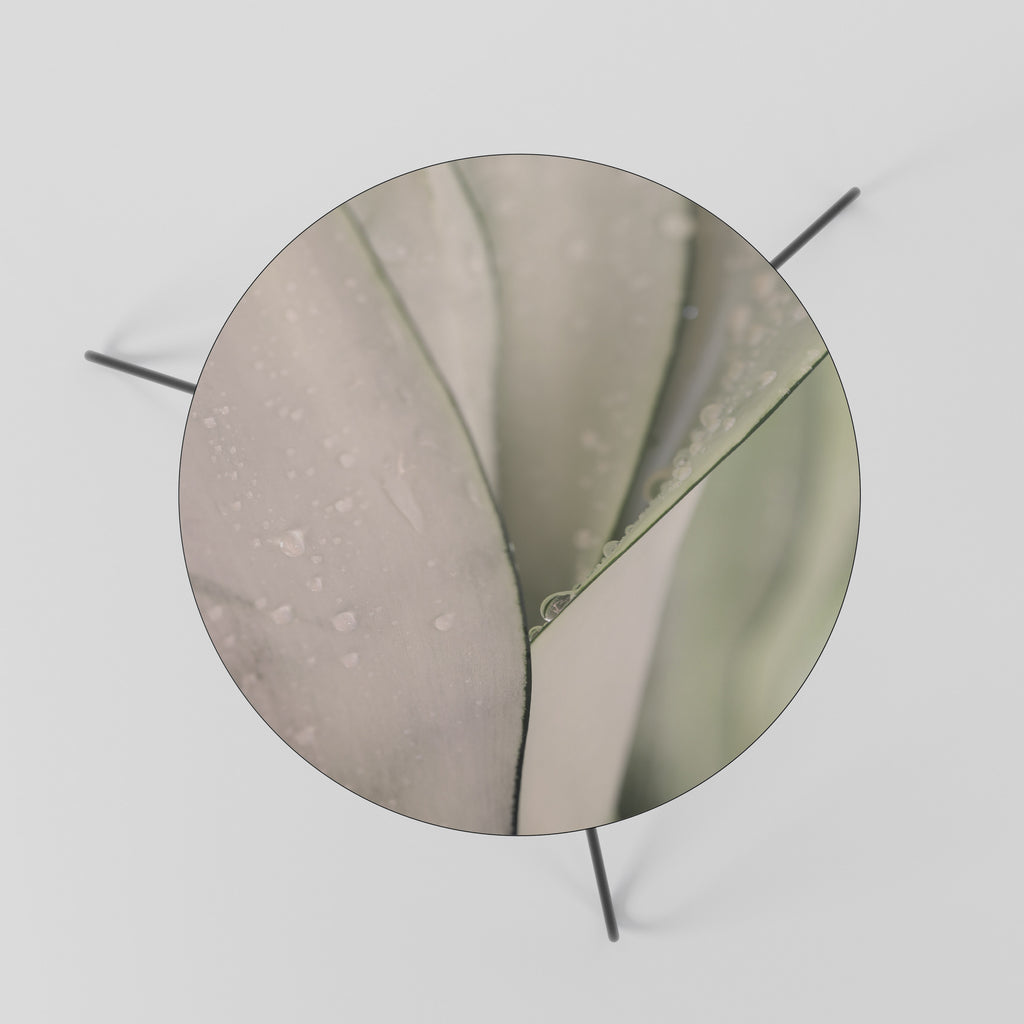 NATURE'S TAPESTRY Coffee Table 60