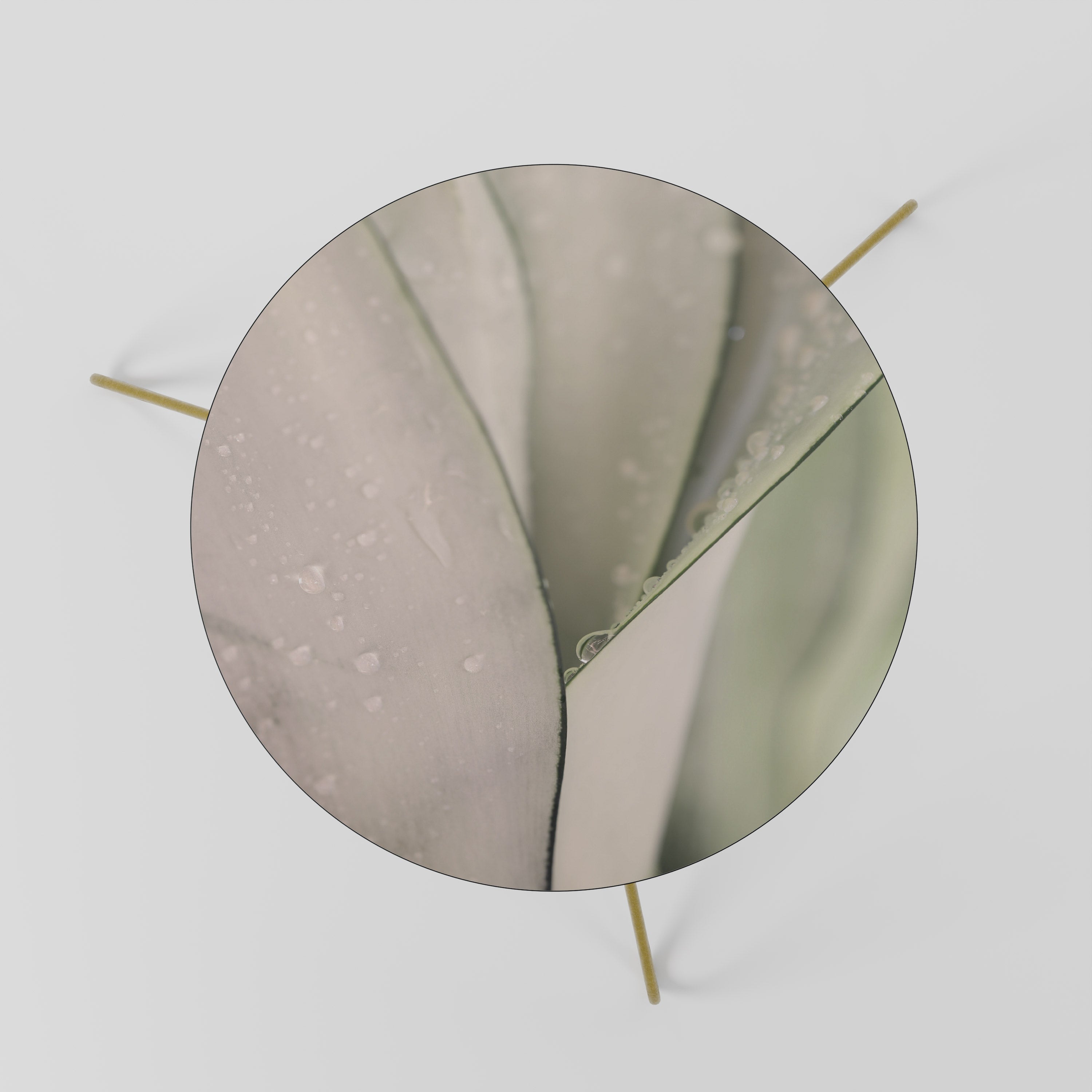 NATURE'S TAPESTRY Coffee Table 60