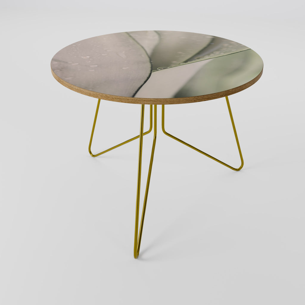 NATURE'S TAPESTRY Coffee Table