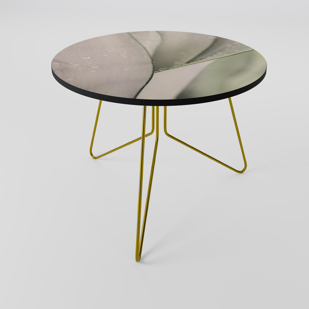 NATURE'S TAPESTRY Coffee Table