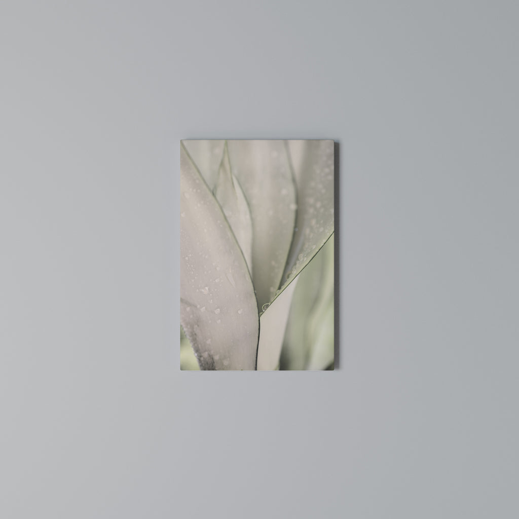 NATURE'S TAPESTRY Cuadro en lienzo vertical