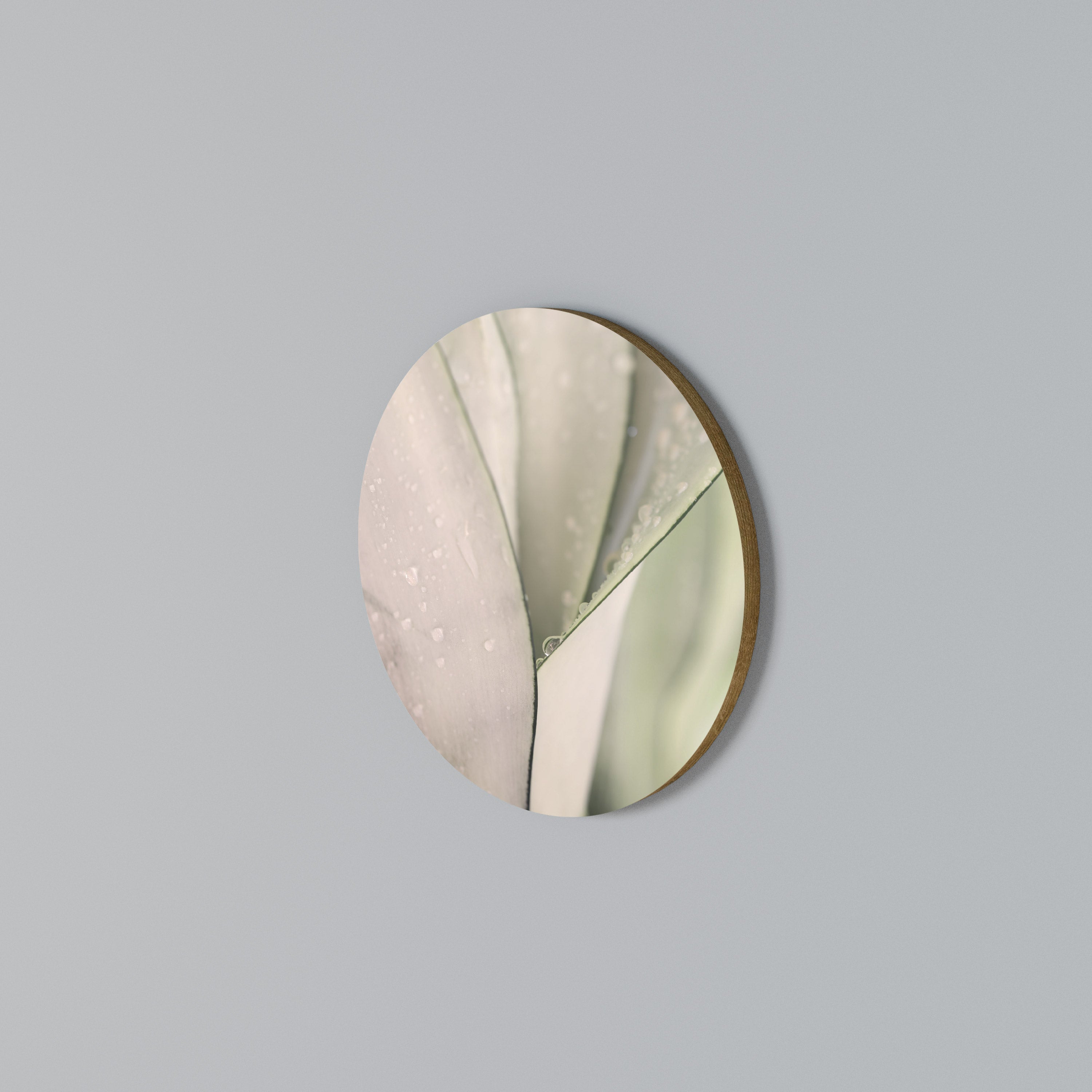 NATURE'S TAPESTRY Round Wall Art