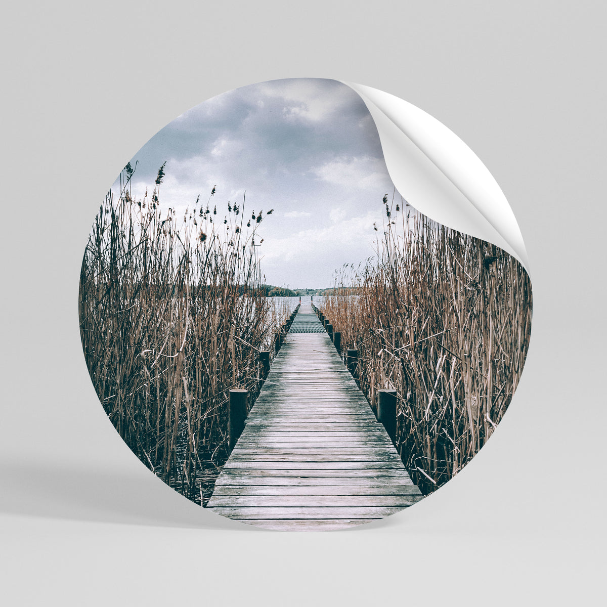 GAZE INTO STILLNESS Vinilo adhesivo redondo