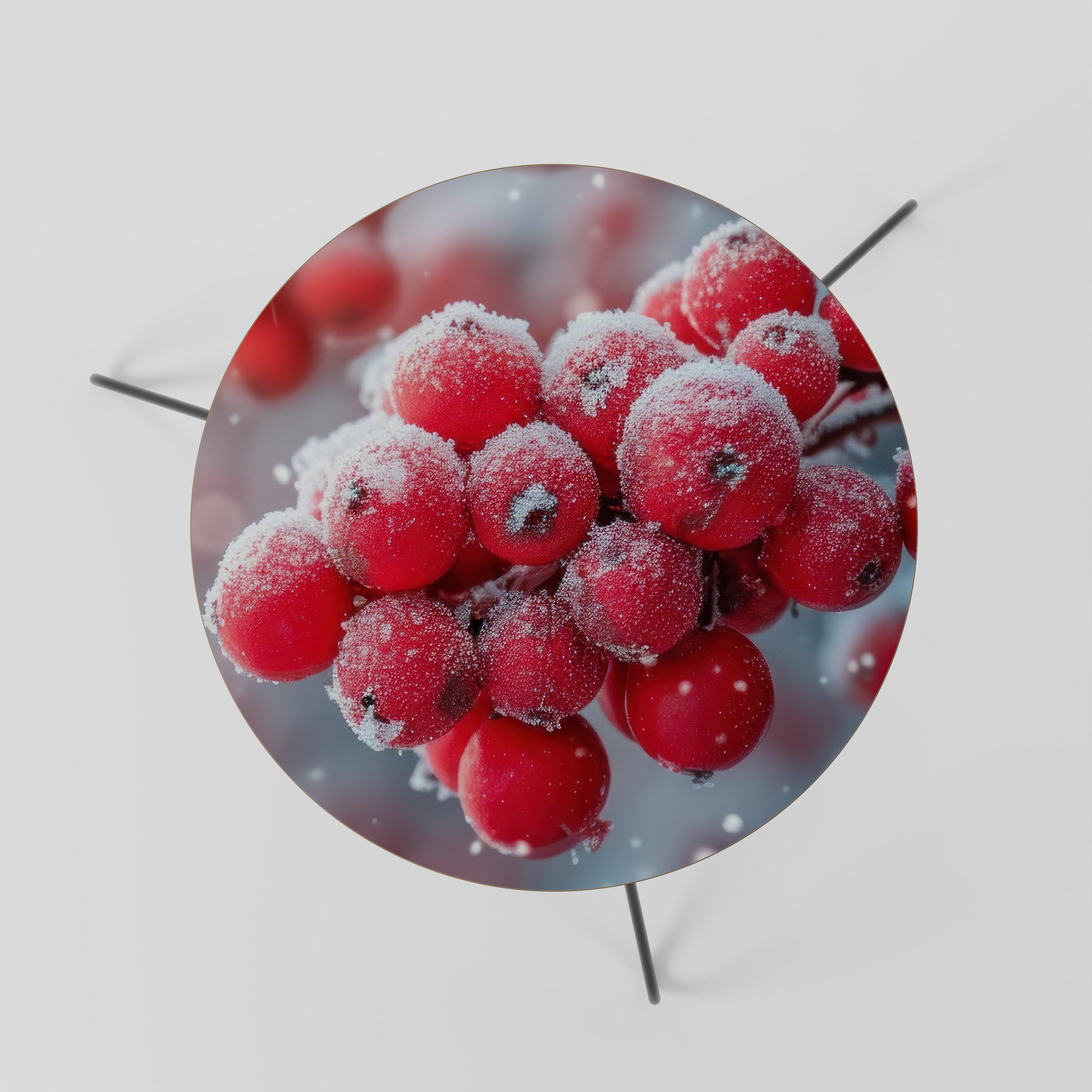 WINTER'S CRIMSON TREASURES Coffee Table 60