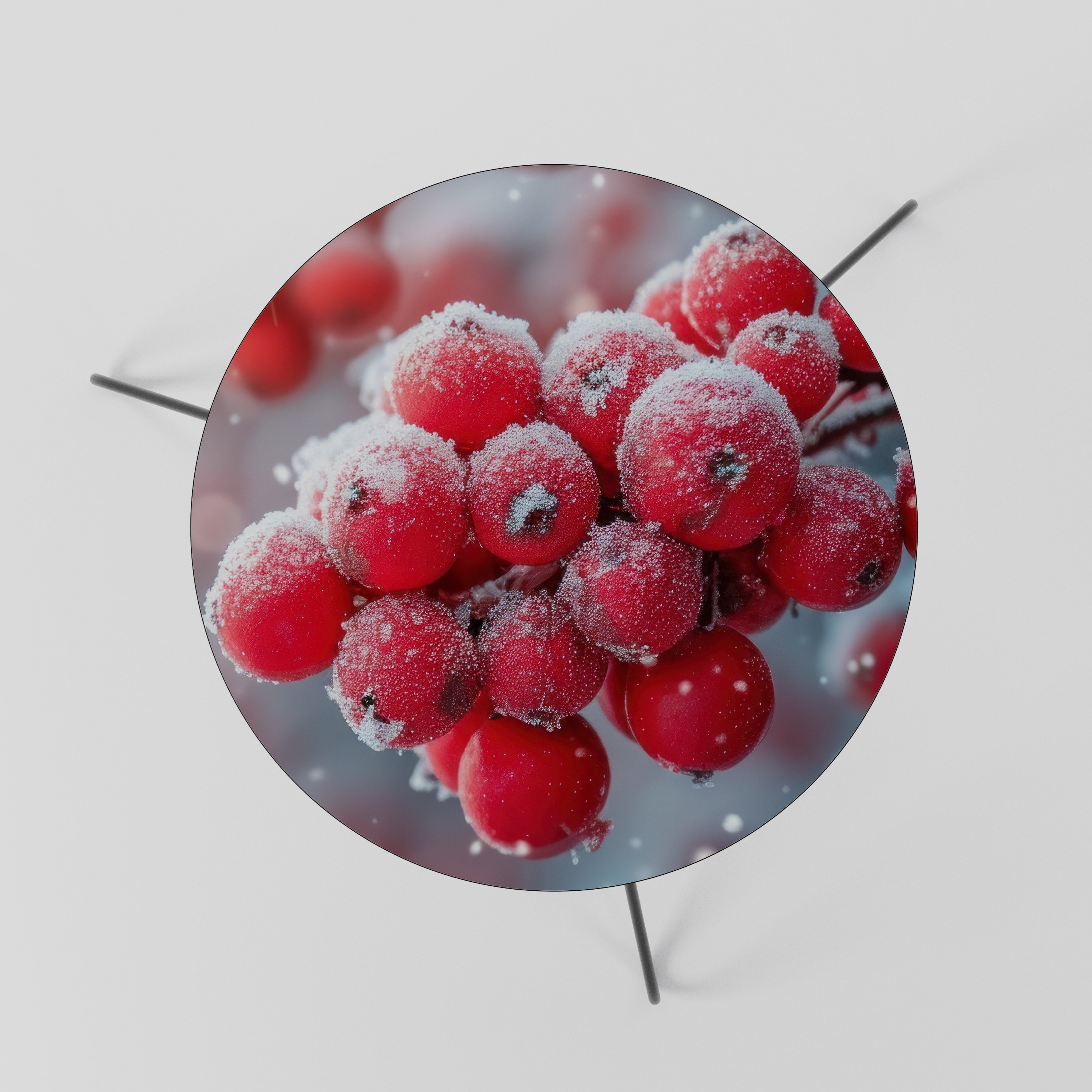 WINTER'S CRIMSON TREASURES Coffee Table 60