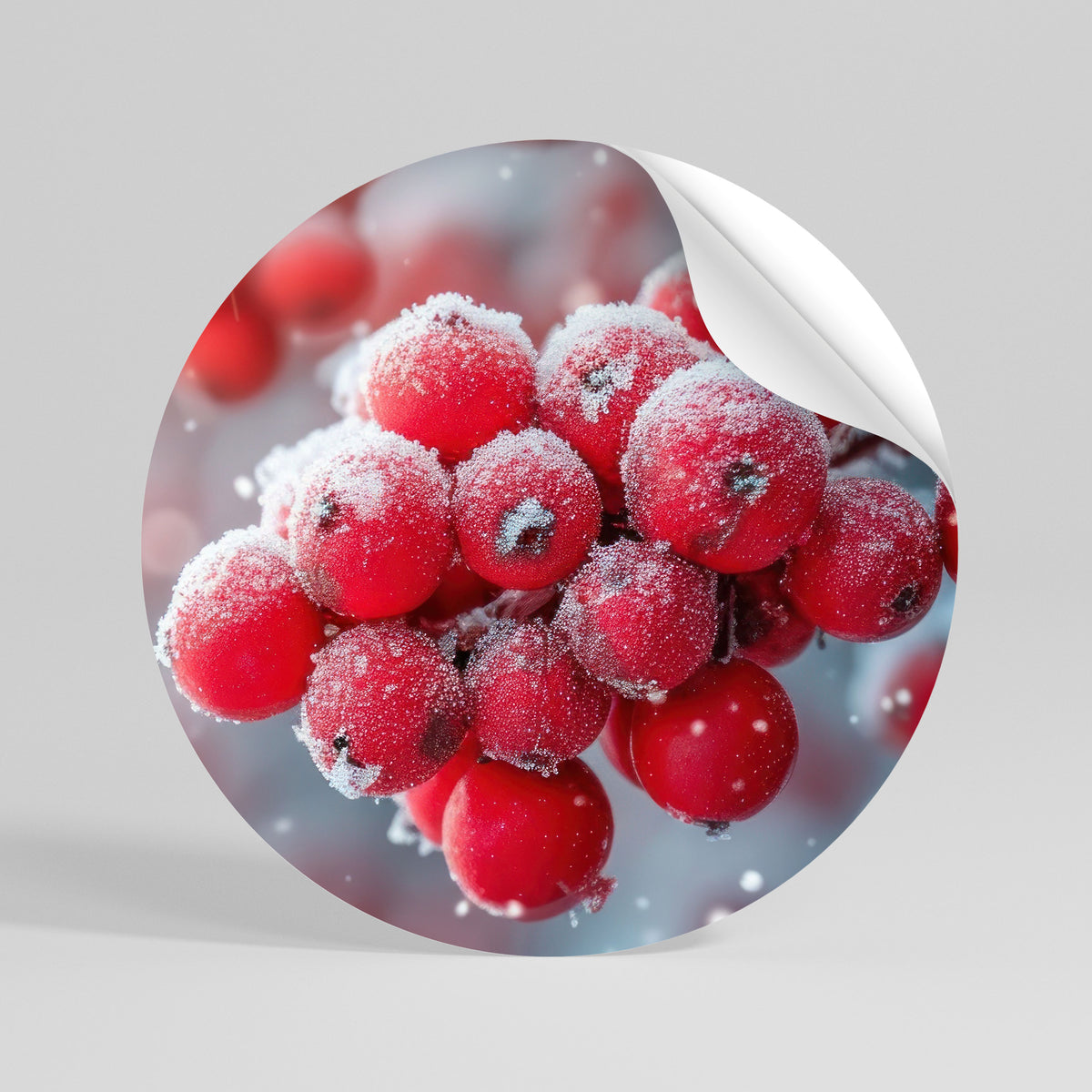 WINTER'S CRIMSON TREASURES Vinilo adhesivo redondo