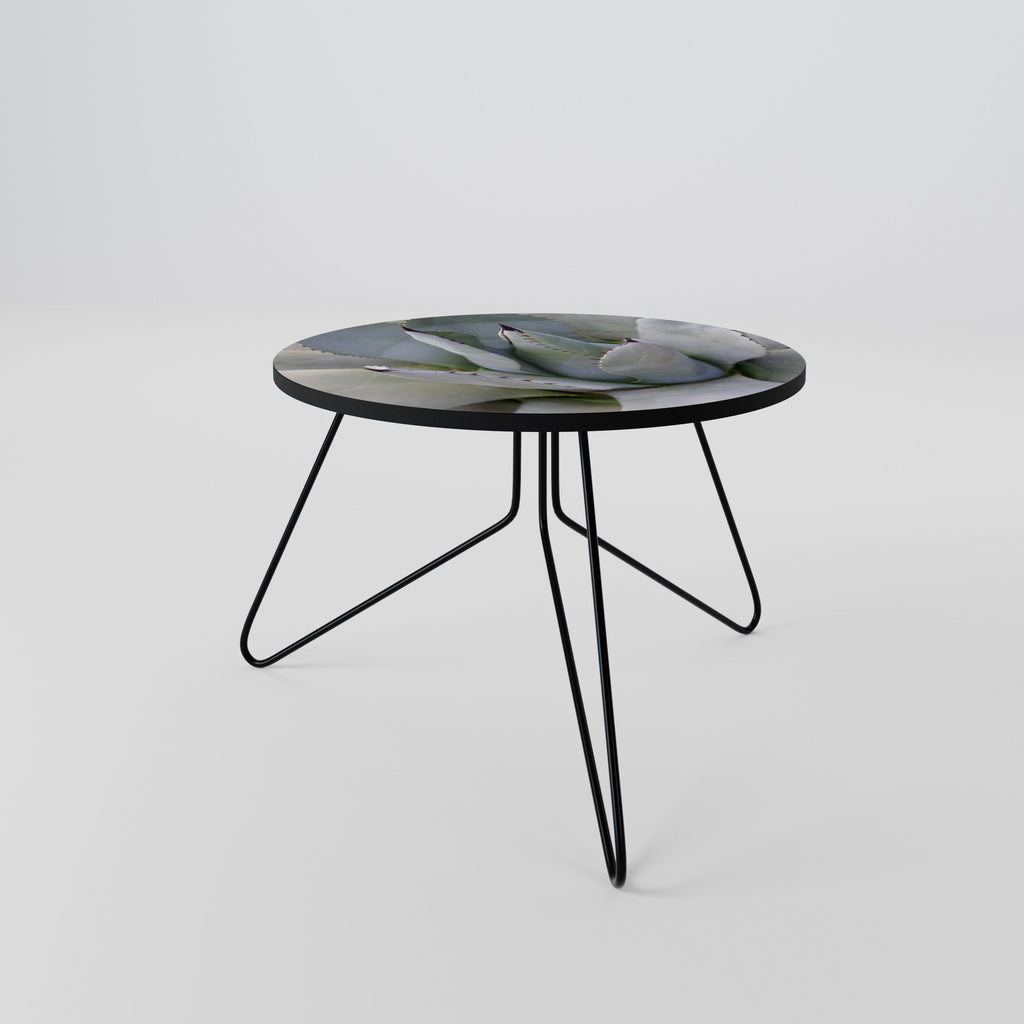 AGAVE ELEGANCE Coffee Table 60