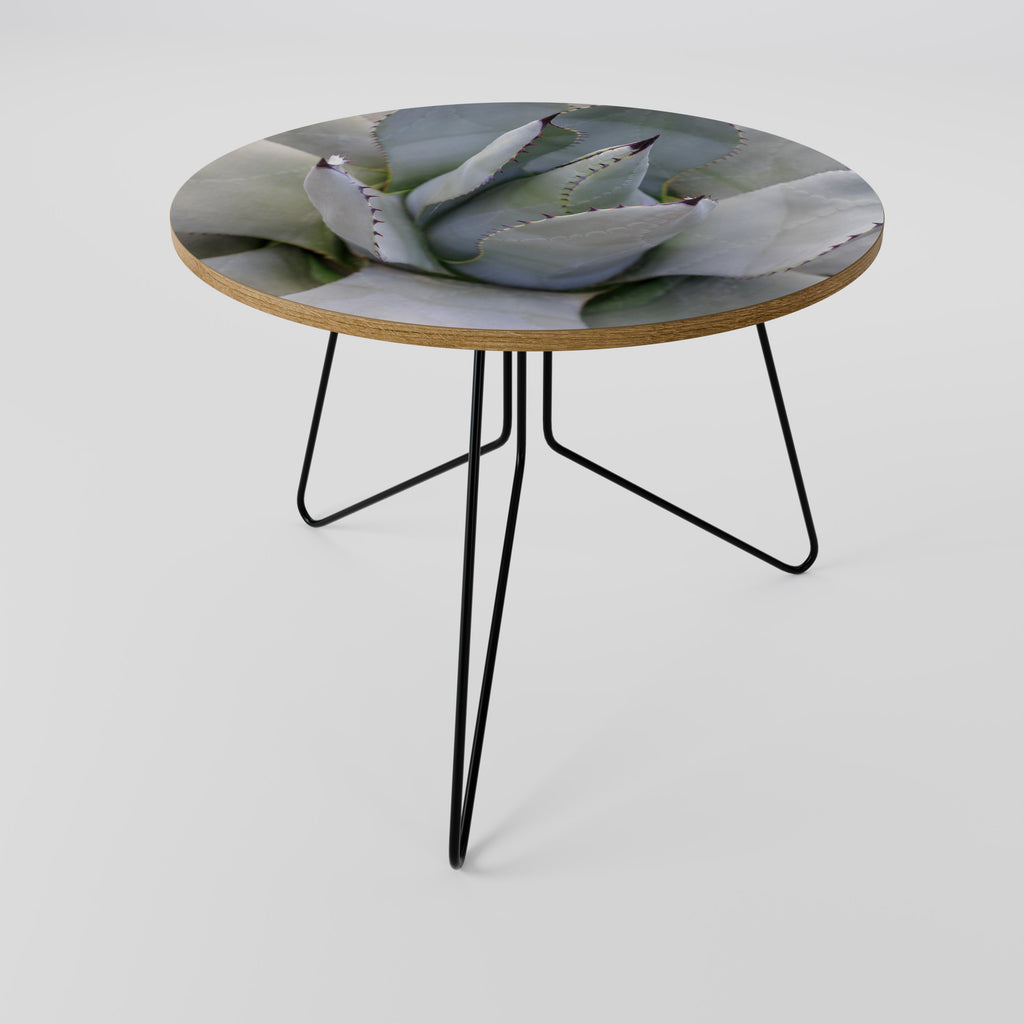 Mesa de centro AGAVE ELEGANCE 69