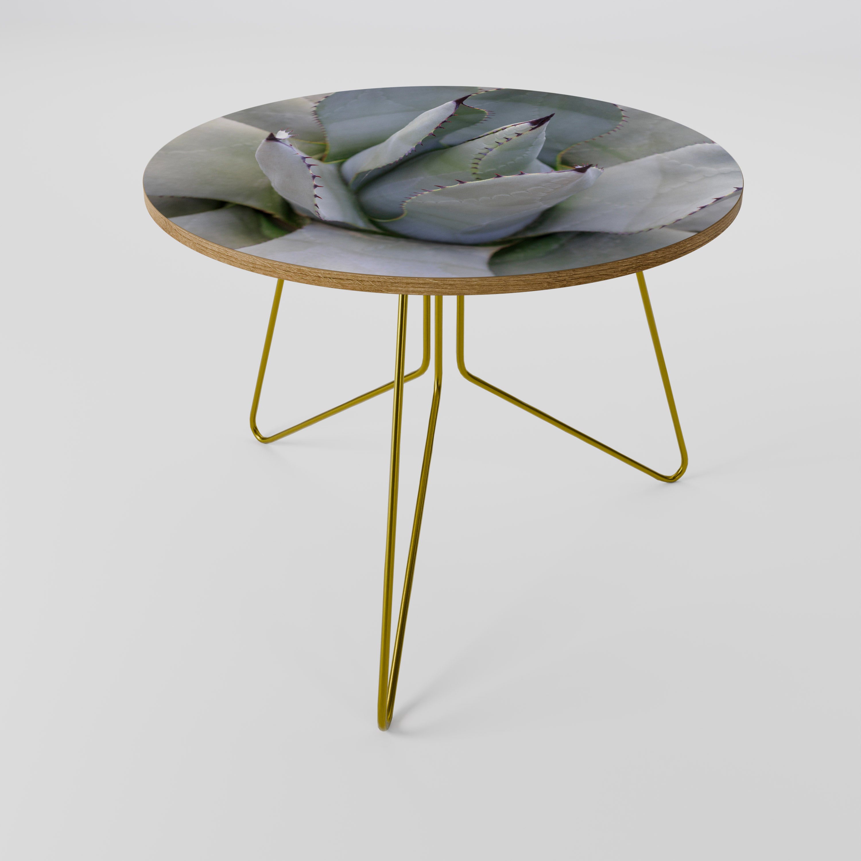 Mesa de centro AGAVE ELEGANCE 69