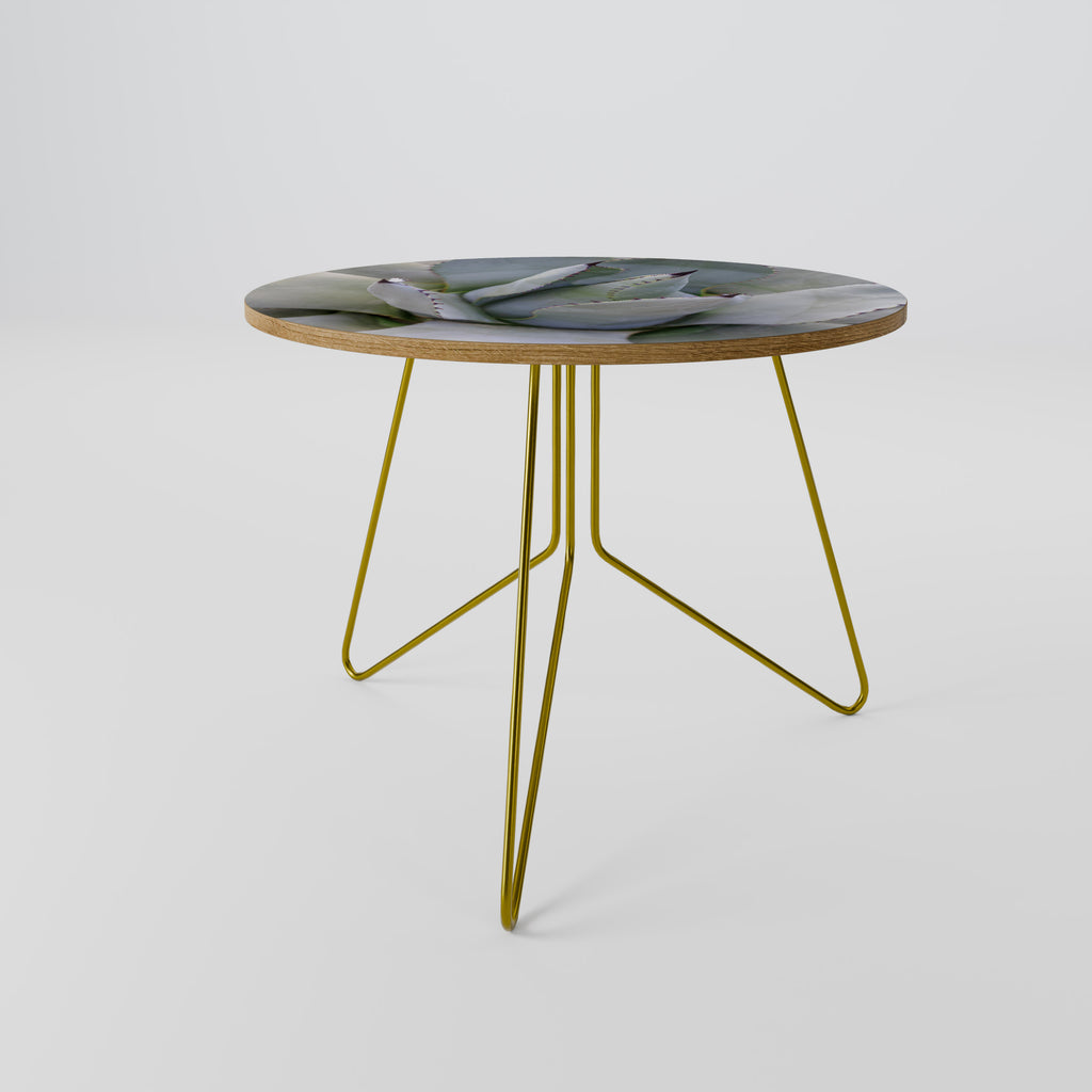Mesa de centro AGAVE ELEGANCE 69