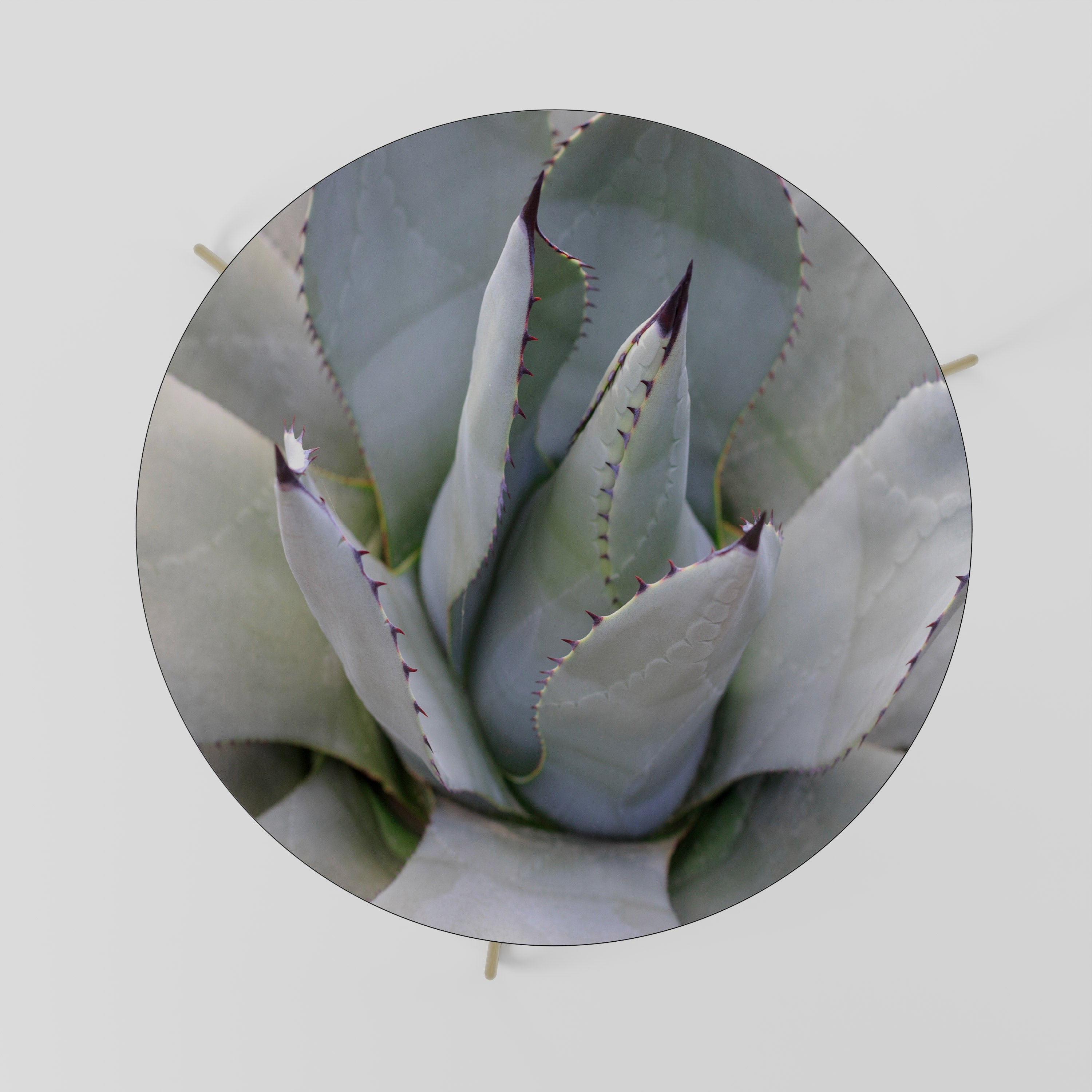 Mesa de centro AGAVE ELEGANCE 69