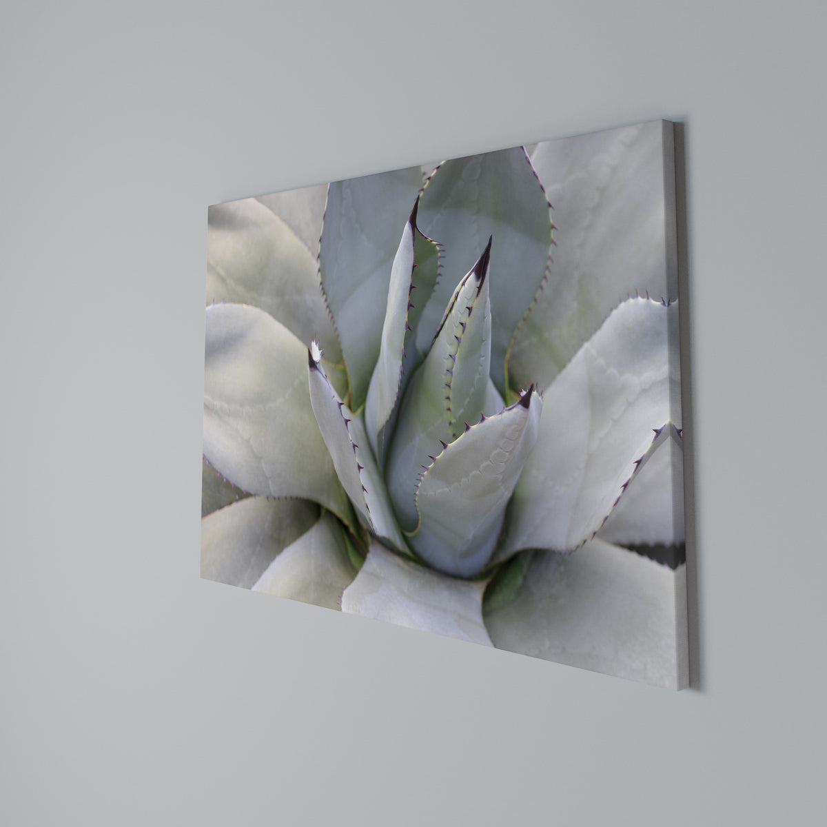 AGAVE ELEGANCE Cuadro en lienzo horizontal