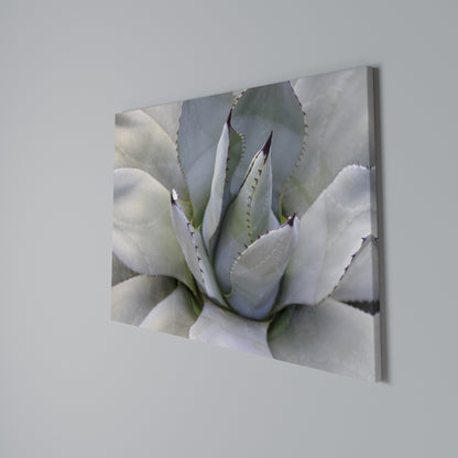 AGAVE ELEGANCE Cuadro en lienzo horizontal