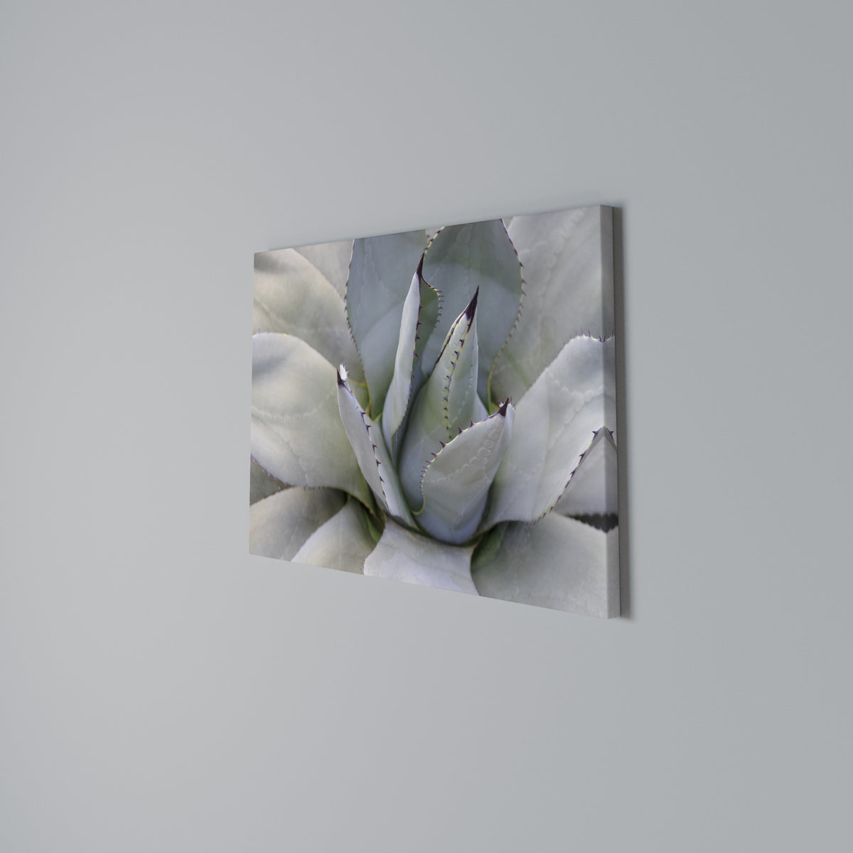 AGAVE ELEGANCE Cuadro en lienzo horizontal