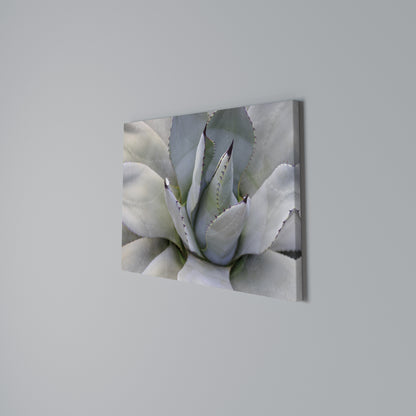 AGAVE ELEGANCE Cuadro en lienzo horizontal